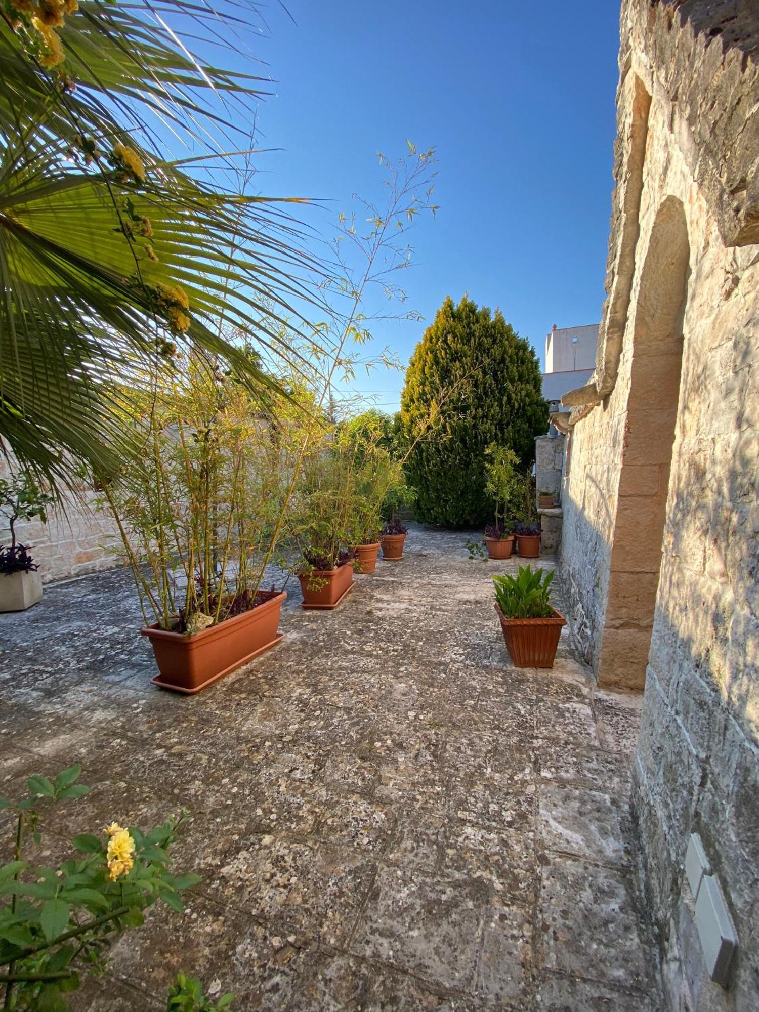Trulli And Nature Antonelli Habitación foto
