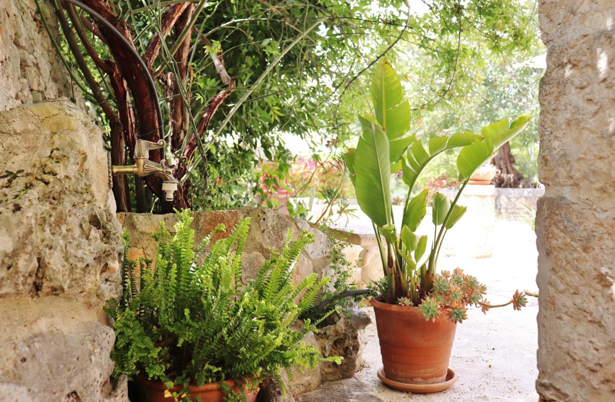 Trulli And Nature Antonelli Habitación foto