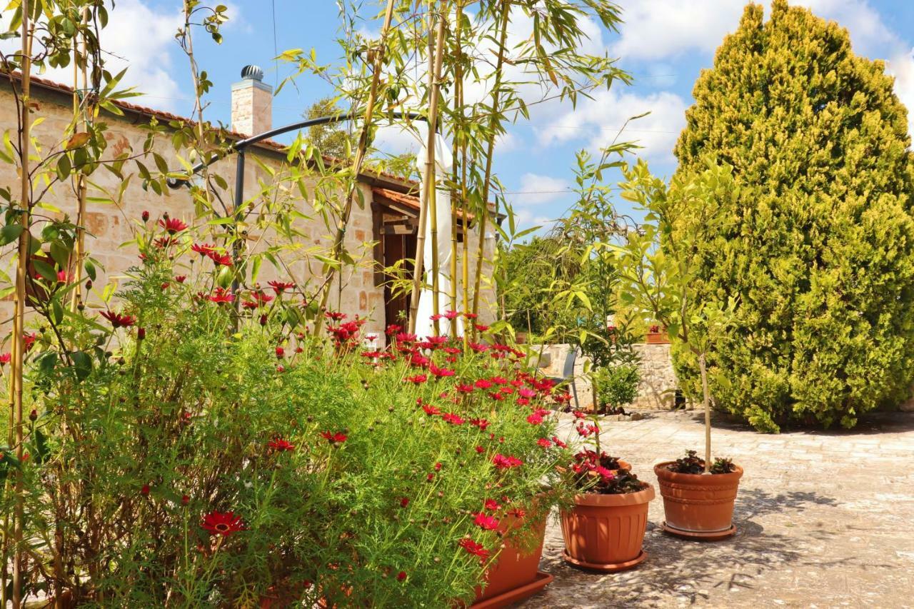 Trulli And Nature Antonelli Habitación foto